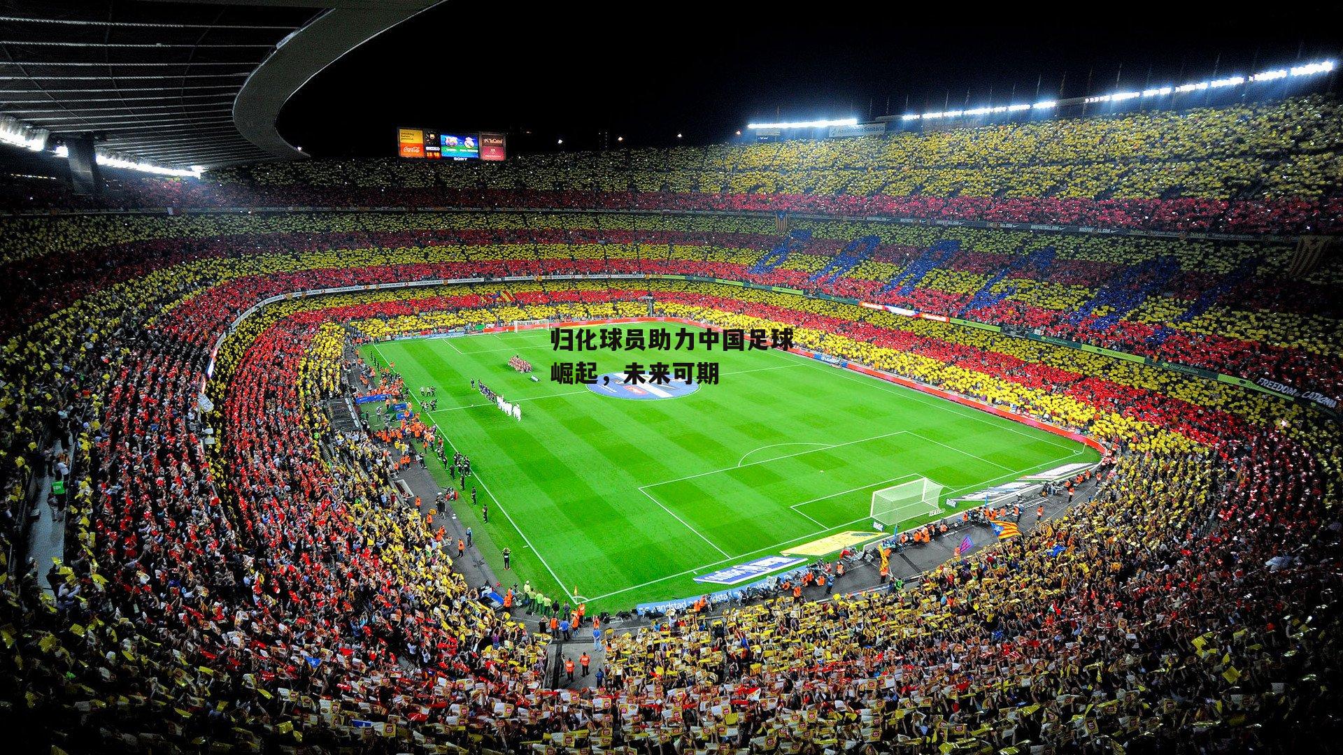 归化球员助力中国足球崛起,未来可期