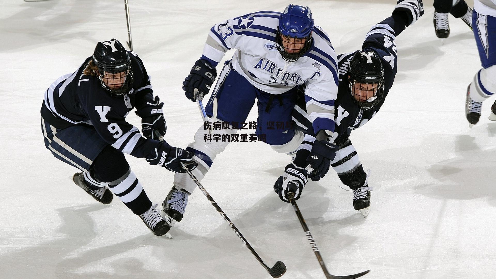 伤病康复之路,坚韧与科学的双重奏鸣